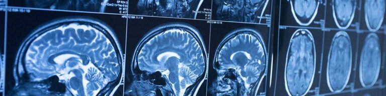 Visualizzatore di immagini