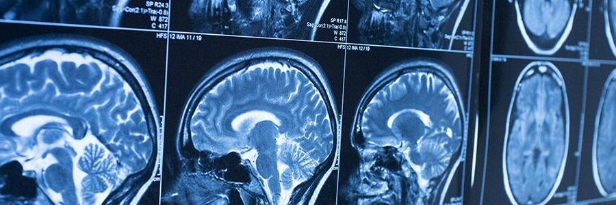 Visualizzatore di immagini